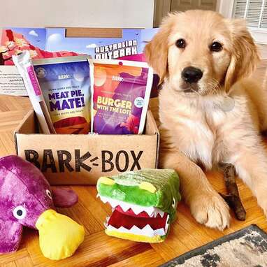 barkbox clemson